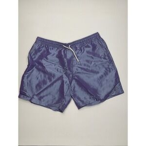 Empyre Mens Iridescent Purple Blue Swim Trunks Shorts Size M